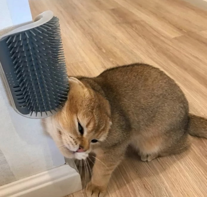 чесалка для кота чесалка для кота