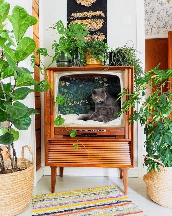 Лежанка для кота Лежанка для кота