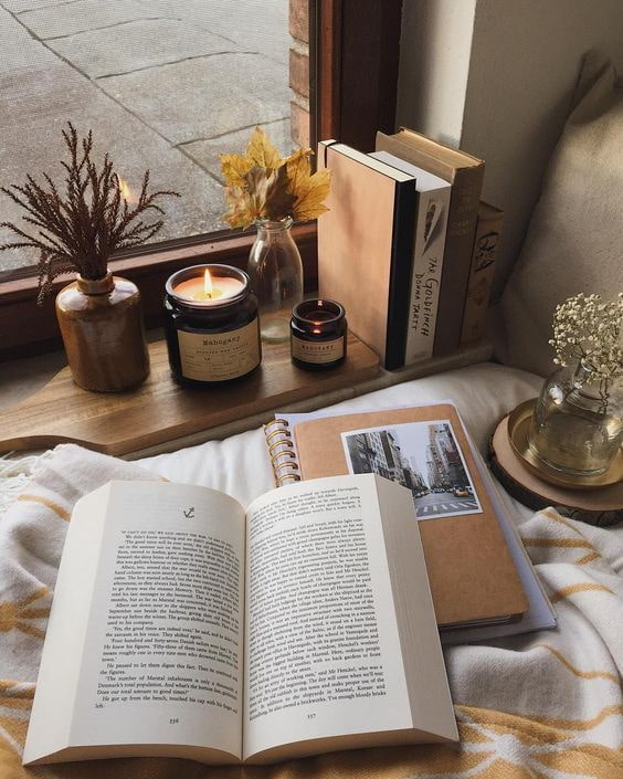 На подоконнике с книгами На подоконнике с книгами